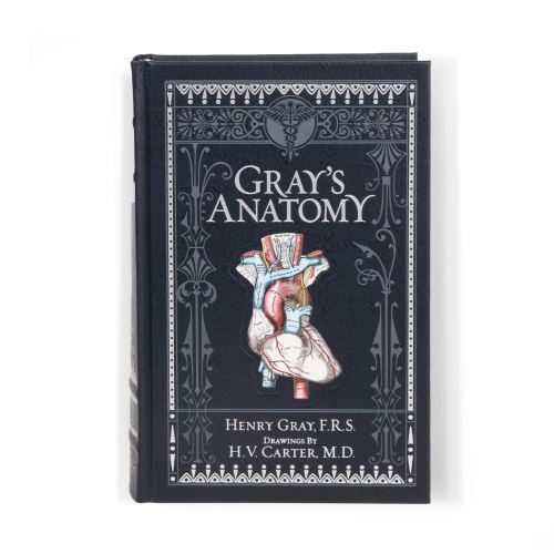 Gray's Anatomy (Barnes & Noble Collectible Classics: Omnibus Edition)