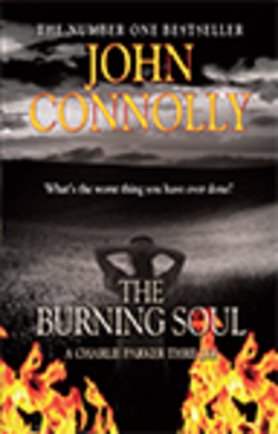 The burning soul [large print]