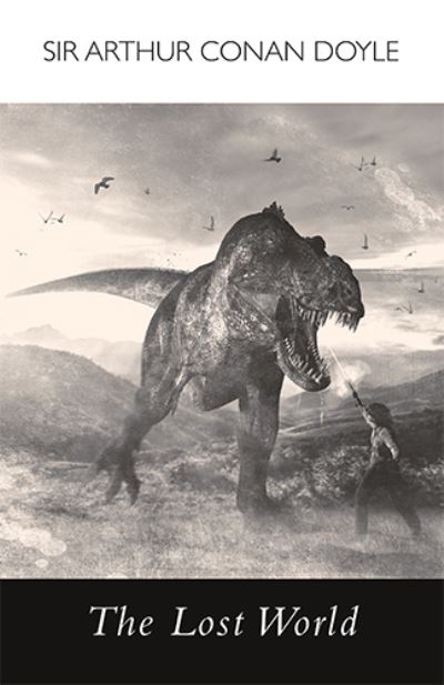 Lost World Large Print Book