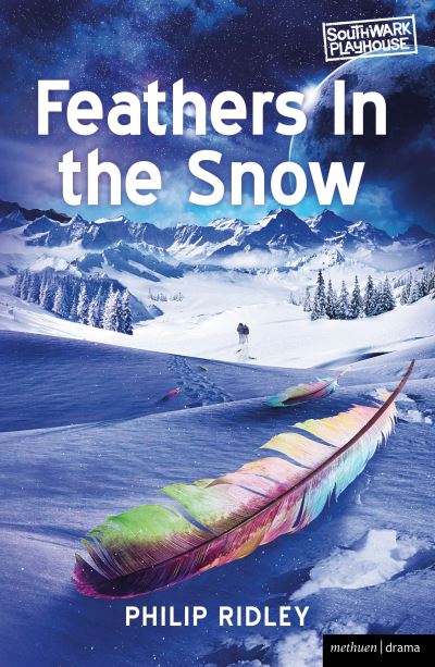 Feathers in the snow