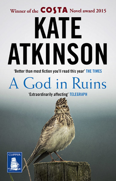 God in Ruins Large Print Book