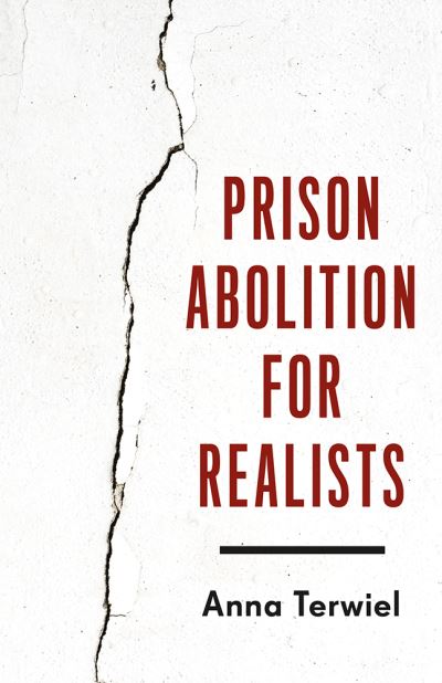Image for Prison Abolition for Realists