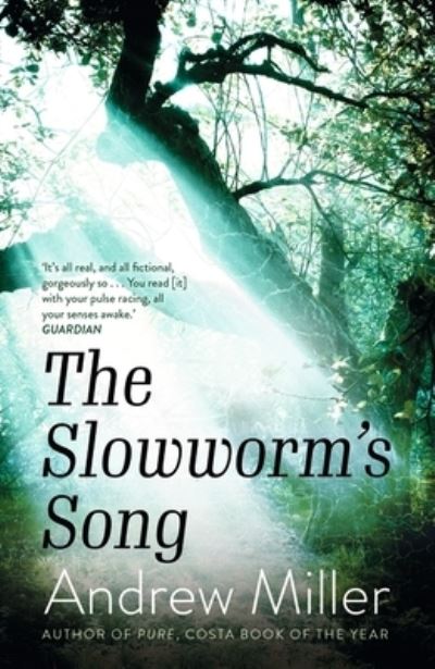 Jacket image for The slowworm's song