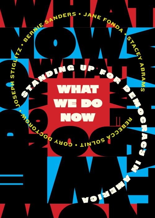 Image for What We Do Now: Standing Up for Democracy in America