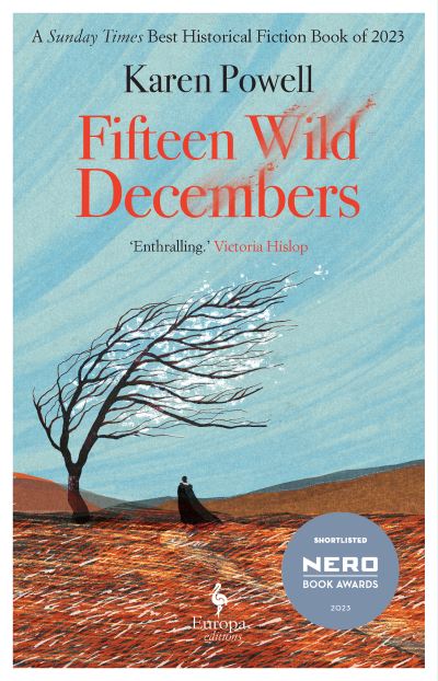 Jacket image for Fifteen wild Decembers