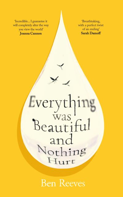 Image for Everything Was Beautiful and Nothing Hurt