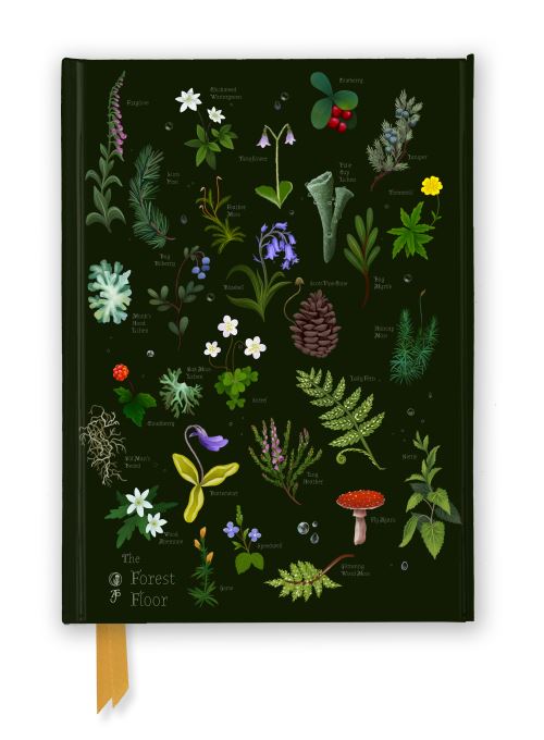 Image for Anna Stead: The Forest Floor (Foiled Journal)