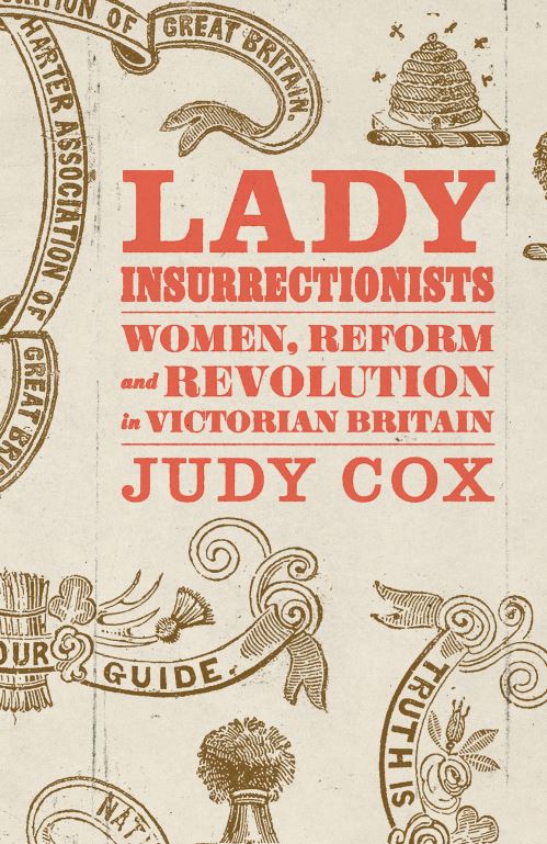 Image for Lady Insurrectionists: Women, Reform and Revolution in Victorian Britain