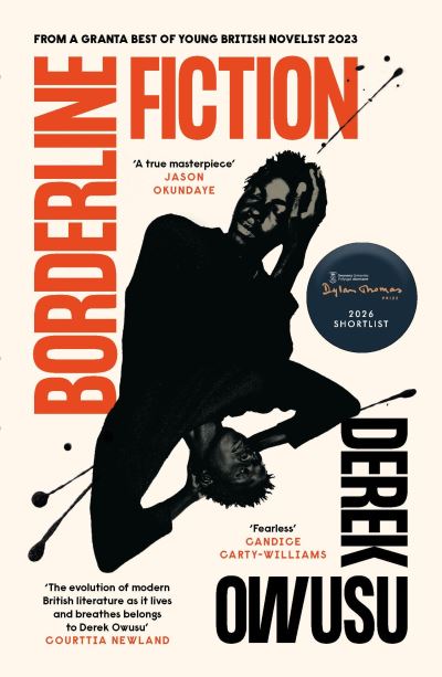 Image for Borderline Fiction