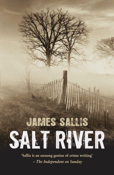 Salt River [electronic resource]