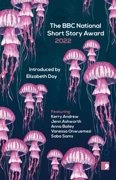 Jacket image for The BBC National Short Story Award 2022