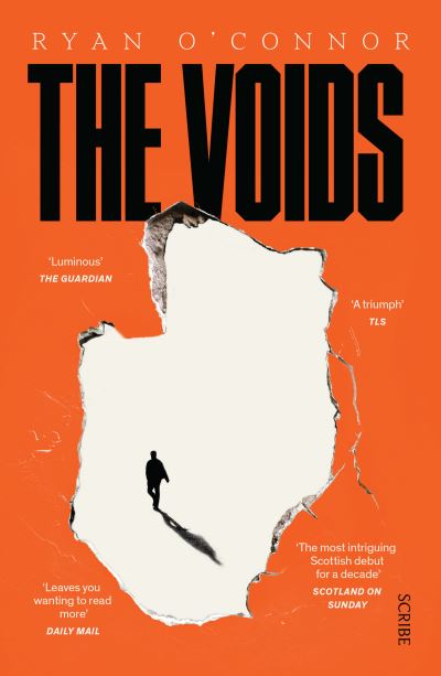 Jacket image for The voids
