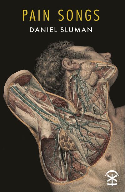 Image for Pain Songs