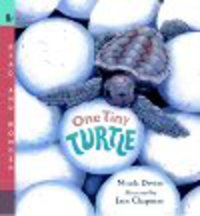 One tiny turtle