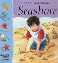 Seashore