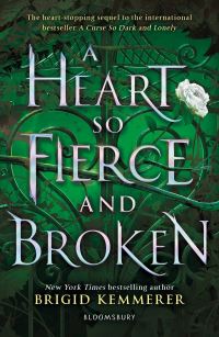 Heart So Fierce and Broken