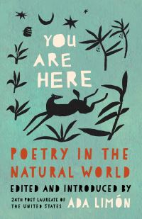 You are here