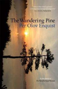 The wandering pine