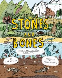 Stones and bones