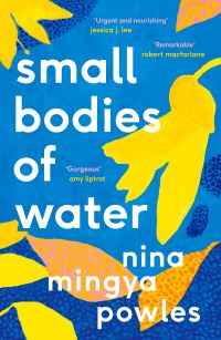 Small bodies of water