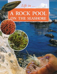 Life in a rock pool on the seashore