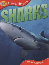 Sharks