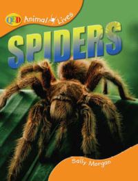Spiders