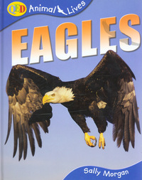 Eagles