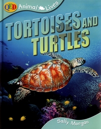 Tortoises and Turtles