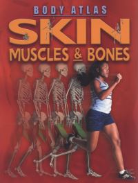 Skin, Muscles & Bones