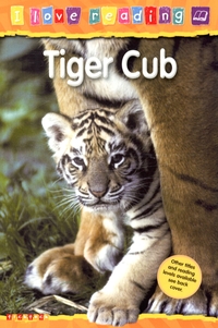 Tiger Cub