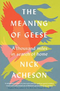 The Meaning of Geese