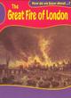 Image for How do we know about the Great Fire of London?