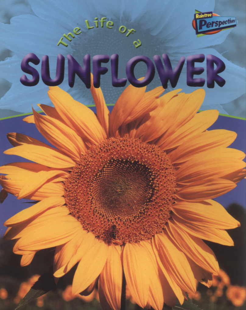 The life of a sunflower by Royston, Angela (9781844433124) BrownsBfS
