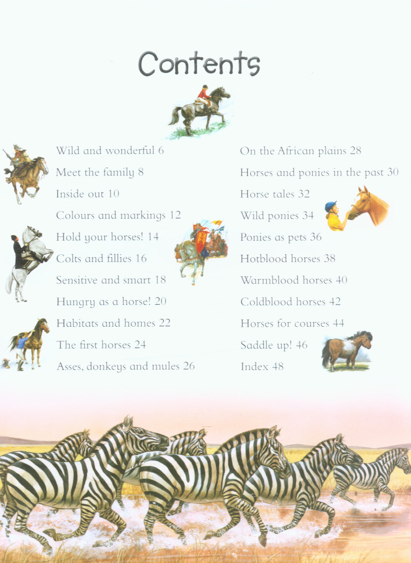 100 Things You Should Know About Horses Ponies By Bedoyere Camilla De La Brownsbfs