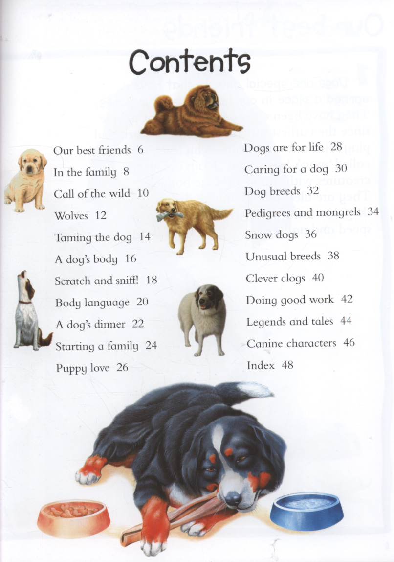 100 facts about puppies