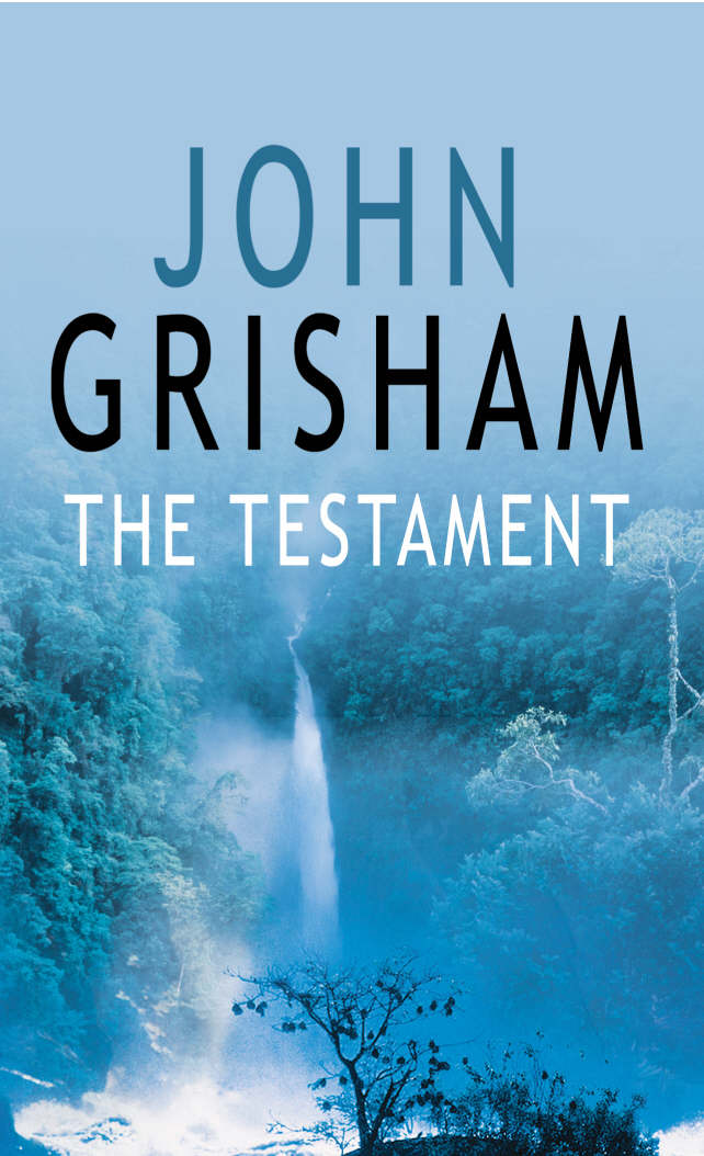 The testament by Grisham, John (9780099245025) BrownsBfS