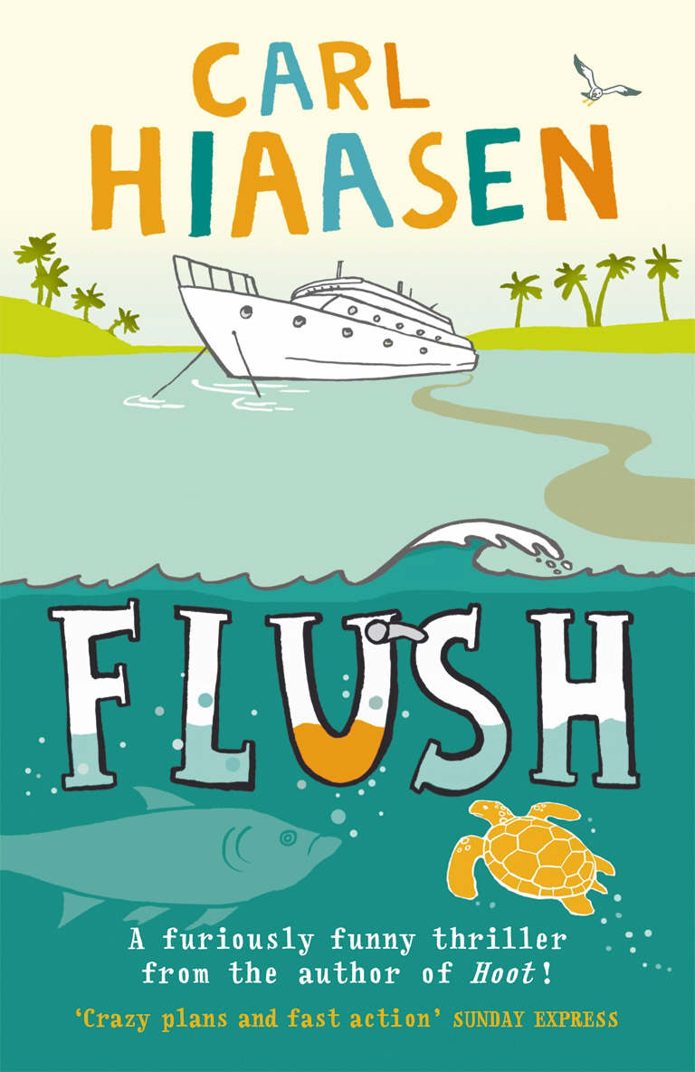 Flush by Hiaasen, Carl (9780552553551) BrownsBfS