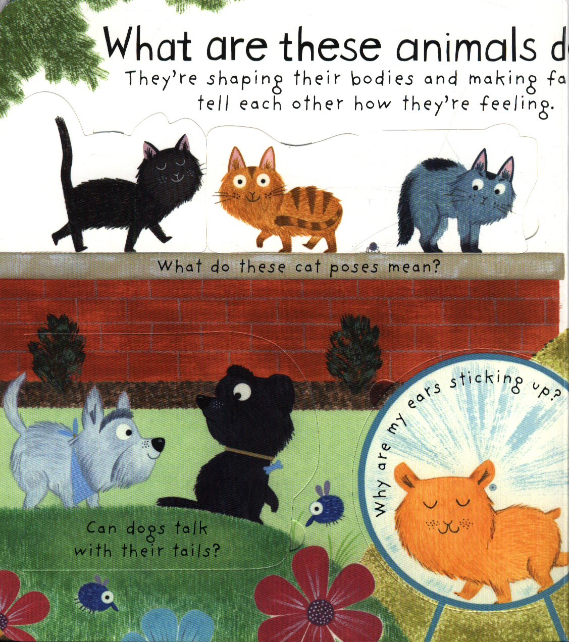 How Do Animals Talk By Daynes Katie 9781474940085 BrownsBfS