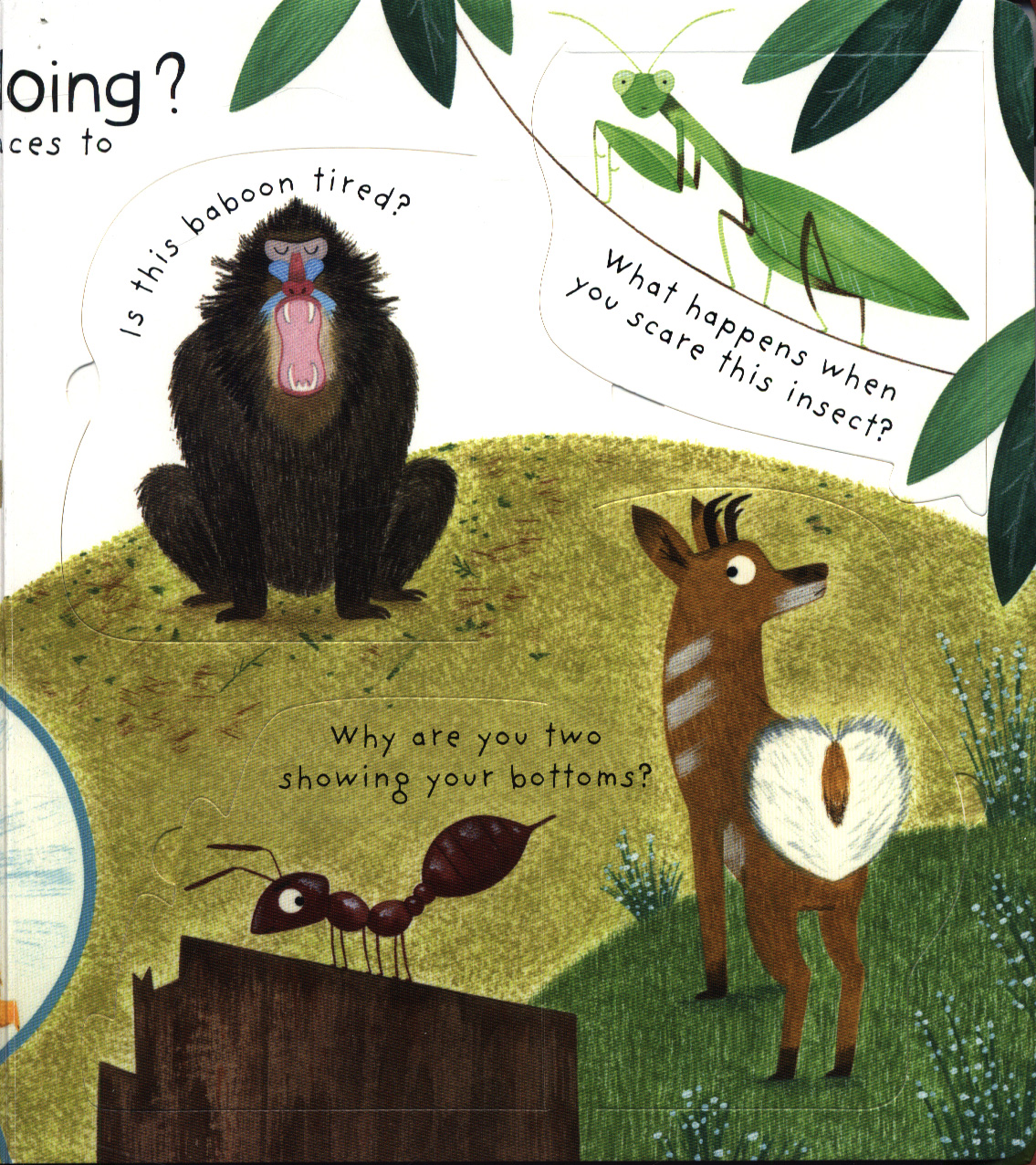 How Do Animals Talk By Daynes Katie 9781474940085 BrownsBfS