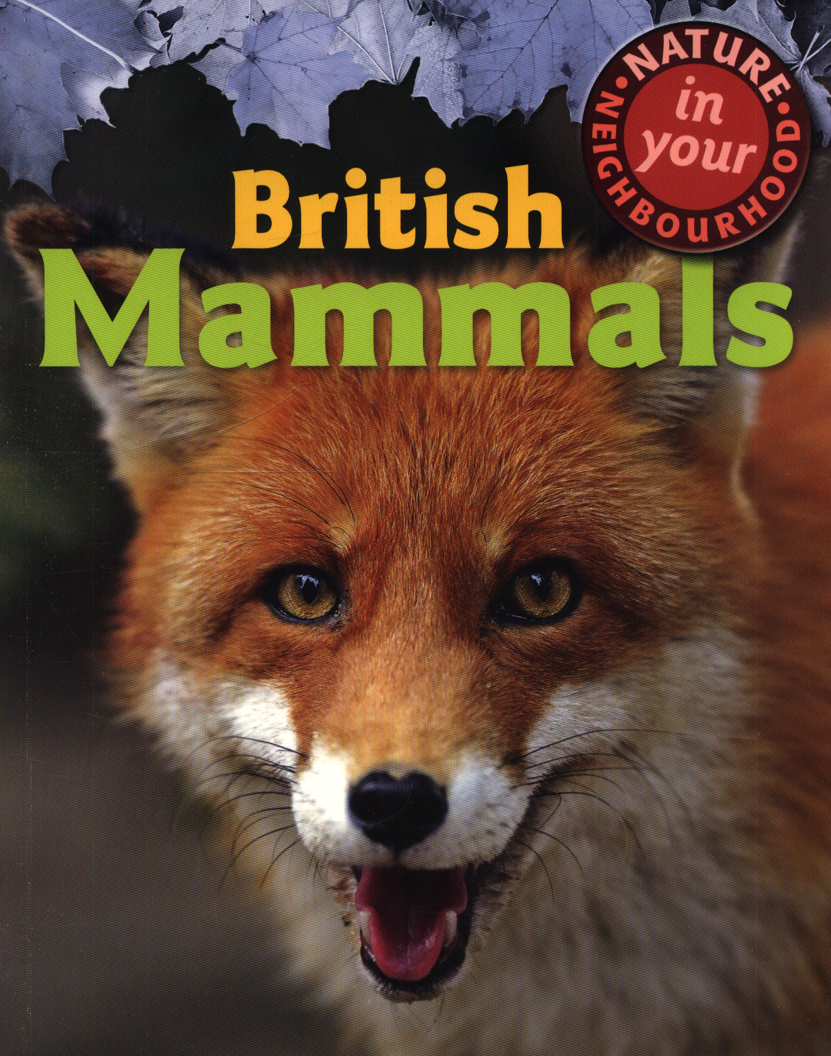 British mammals by Collinson, Clare (9781445136394) BrownsBfS