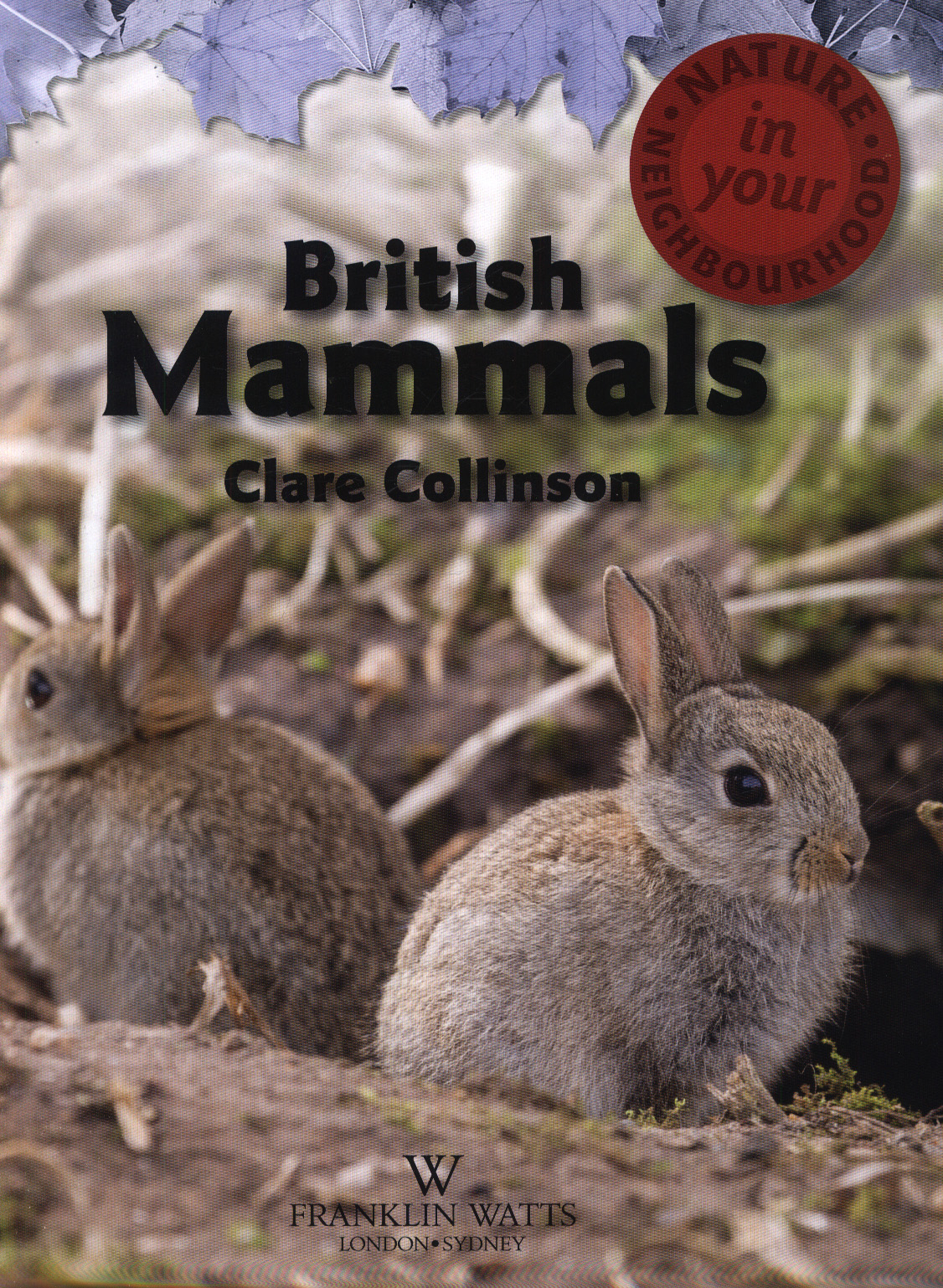 British mammals by Collinson, Clare (9781445136394) BrownsBfS