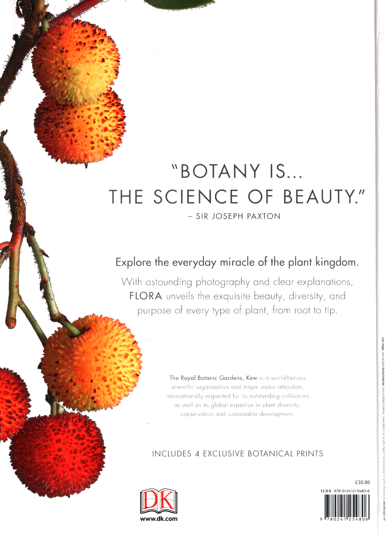 Flora inside the secret world of plants by DK (9780241254806) BrownsBfS