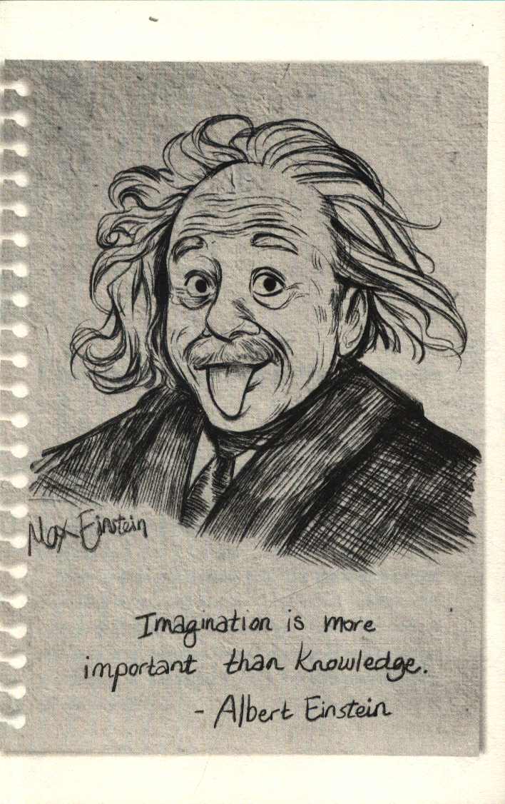 max einstein 5 max einstein 5