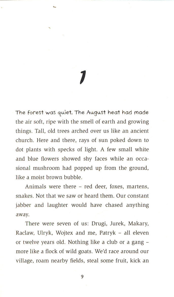 The button war by Avi (9781406380835) BrownsBfS