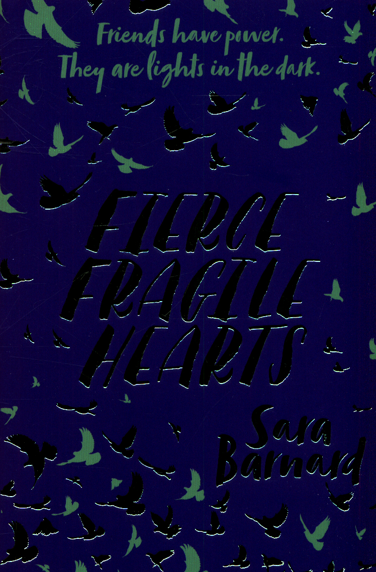 Fierce fragile hearts by Barnard, Sara (9781509852888) BrownsBfS