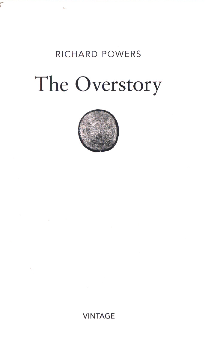 powers the overstory powers the overstory