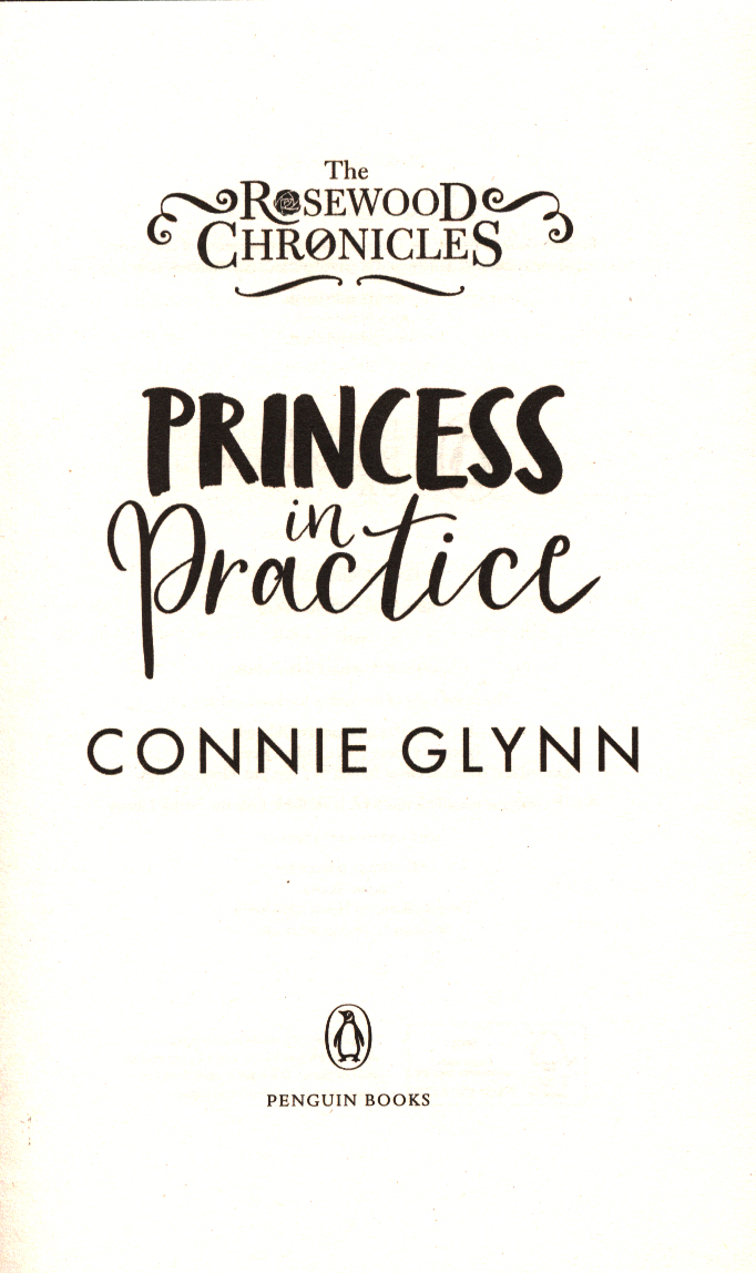 princess in practice book princess in practice book