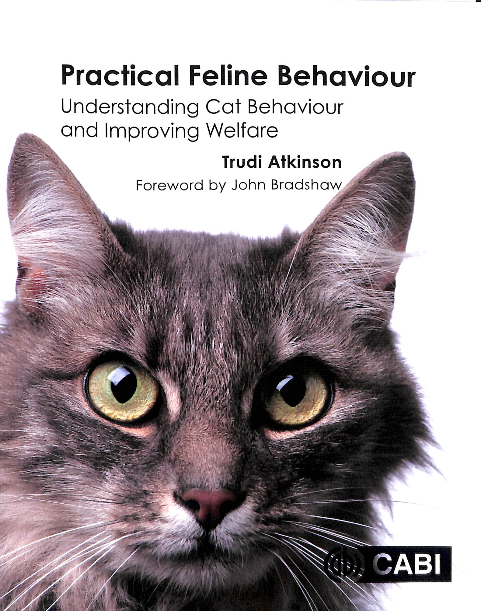 Practical feline behaviour understanding cat behaviour and improving