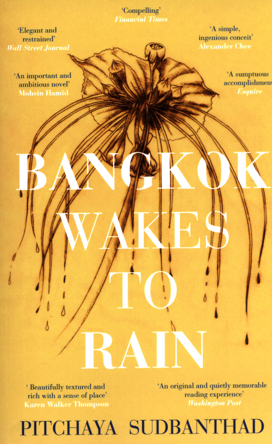 bangkok wakes to rain review bangkok wakes to rain review